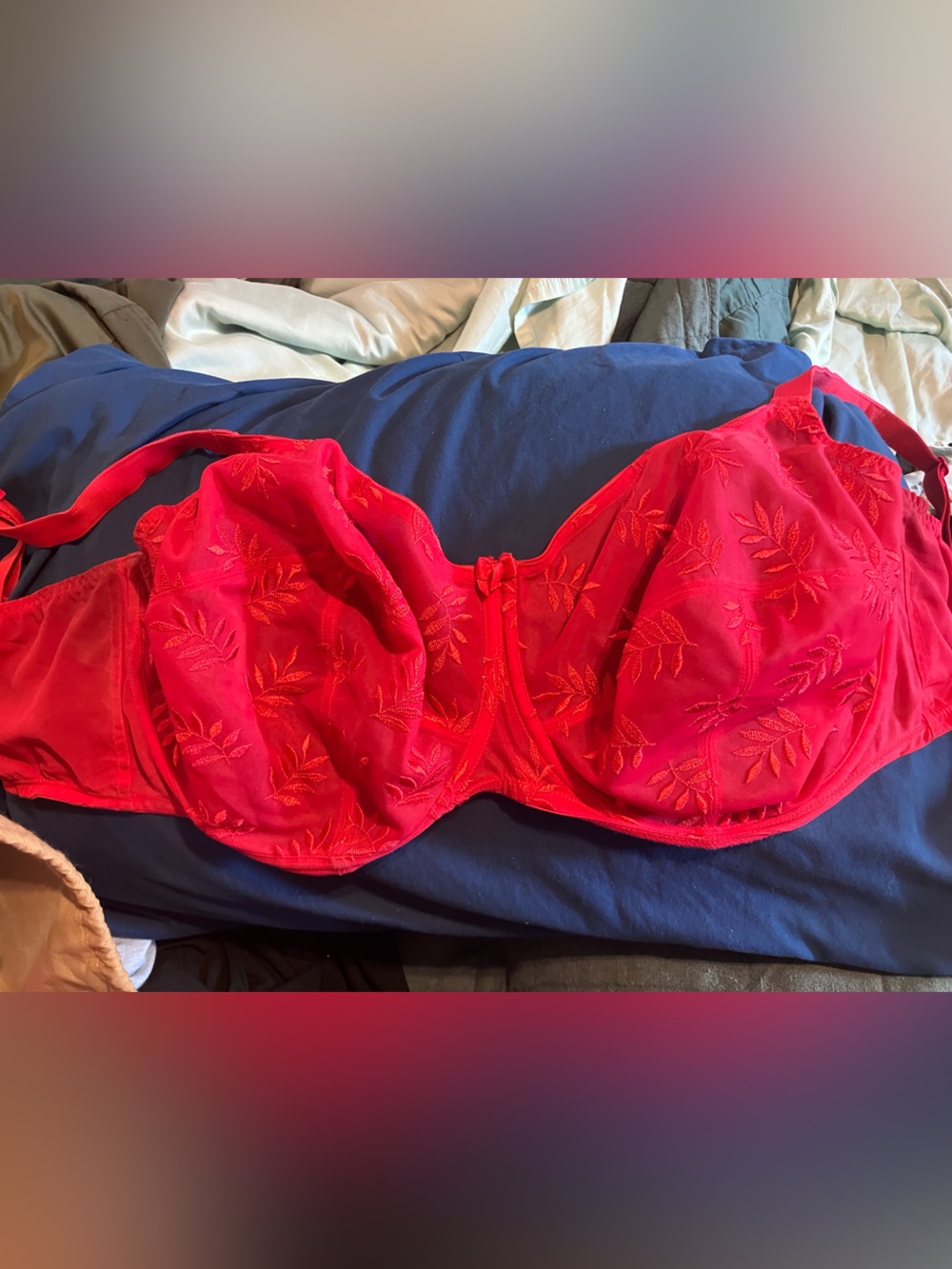 Panache Red Embroidered Strapless Bandeau Bra